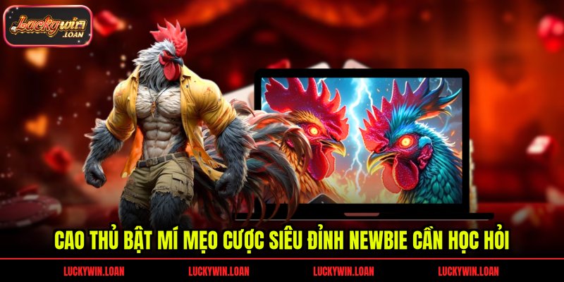 Cao thủ bật mí mẹo cược siêu đỉnh newbie cần học hỏi