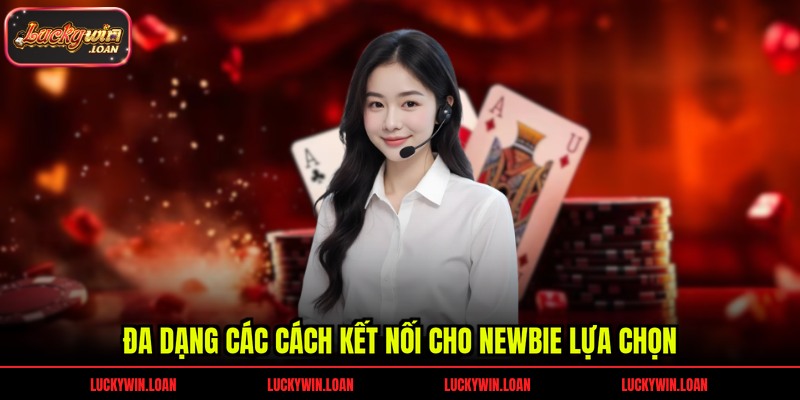 Đa dạng các cách kết nối cho newbie lựa chọn