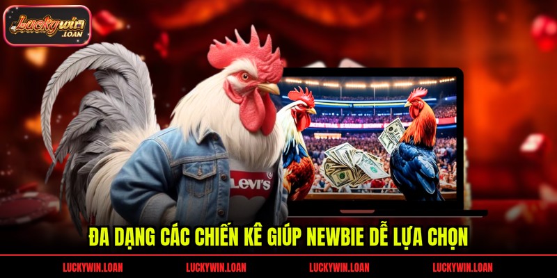 Đa dạng các chiến kê giúp newbie dễ lựa chọn