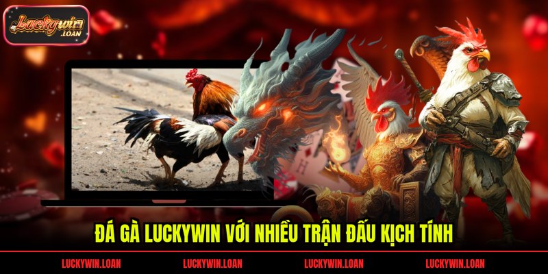 Đá gà Luckywin với nhiều trận đấu kịch tính