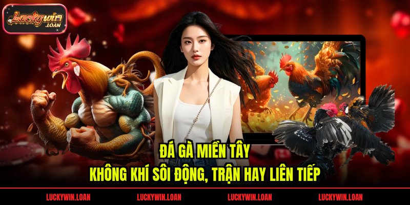 Đá Gà Miền Tây – Không Khí Sôi Động, Trận Hay Liên Tiếp