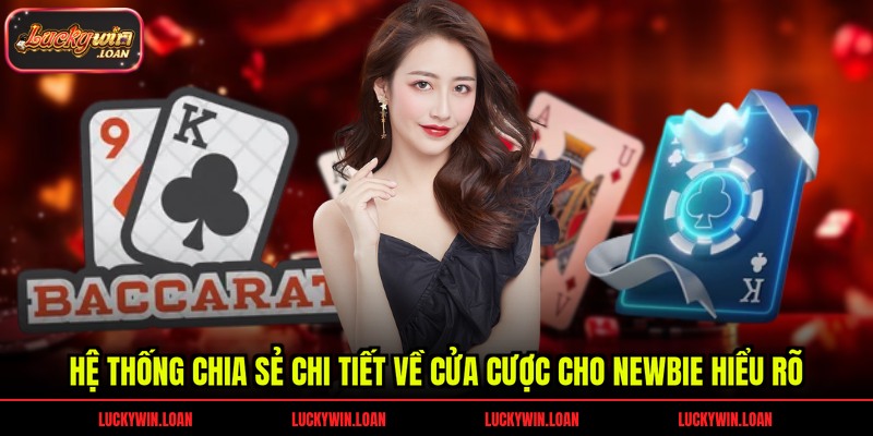 Hệ thống chia sẻ chi tiết về cửa cược cho newbie hiểu rõ