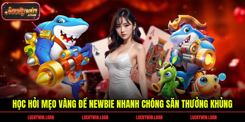 Học hỏi mẹo vàng để newbie nhanh chóng săn thưởng khủng