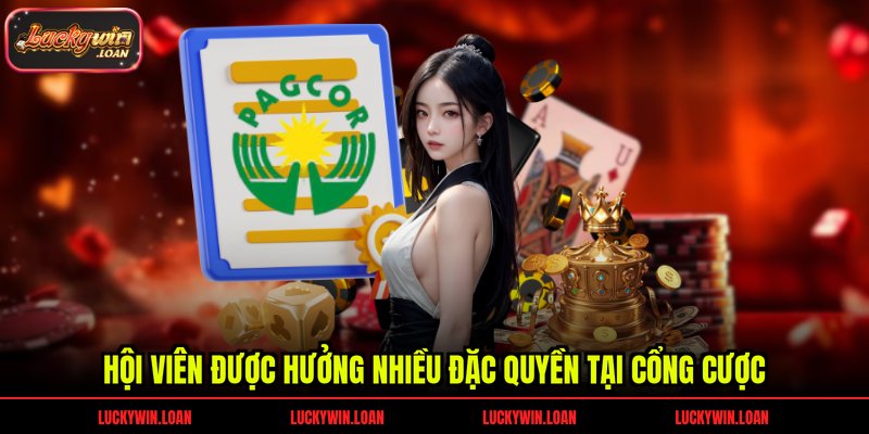 Hội viên được hưởng nhiều đặc quyền tại cổng cược
