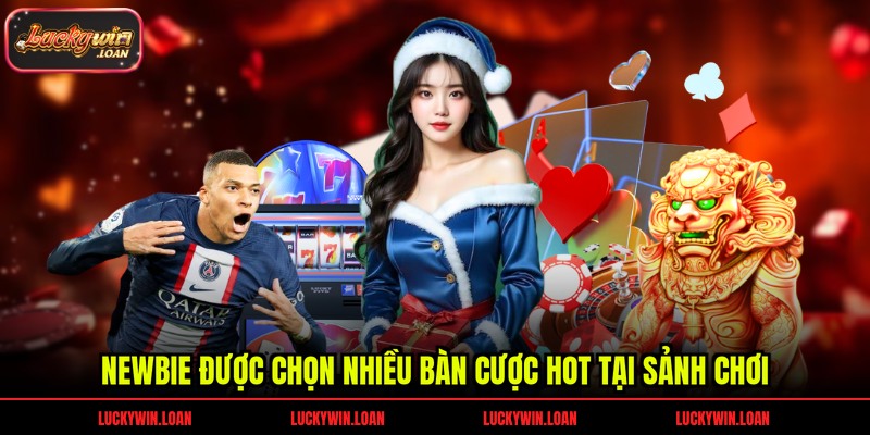 Newbie được chọn nhiều bàn cược hot tại sảnh chơi