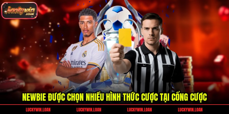 Newbie được chọn nhiều hình thức cược tại cổng cược