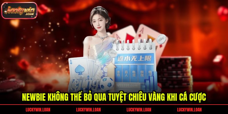 Newbie không thể bỏ qua tuyệt chiêu vàng khi cá cược