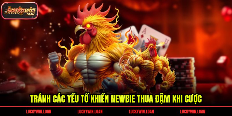 Tránh các yếu tố khiến newbie thua đậm khi cược